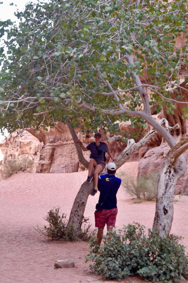 Nature Star Camp Hotel Wadi Rum Exterior foto
